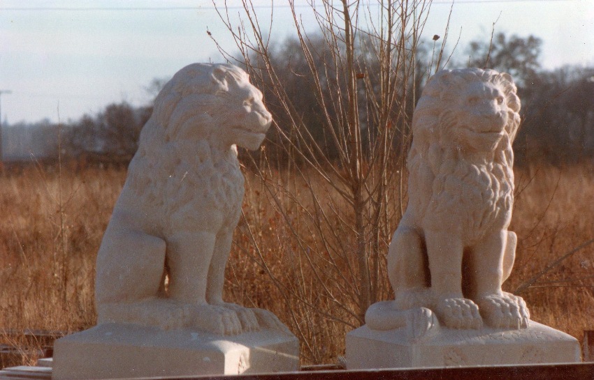Deux lions 1